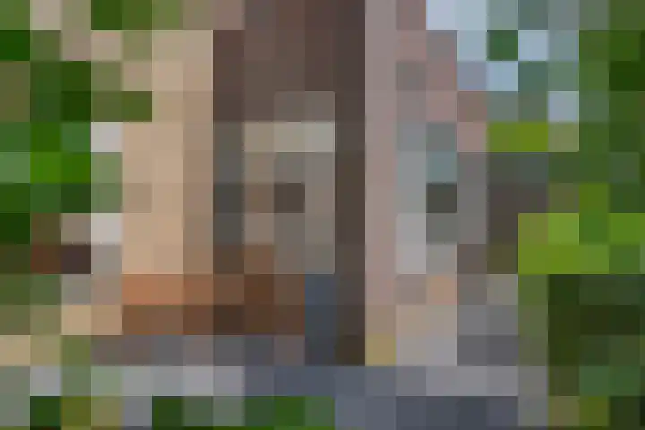 Bunzinghage 49 Berlicum thumbnail 41
