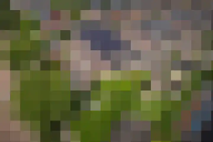 Bunzinghage 49 Berlicum thumbnail 43
