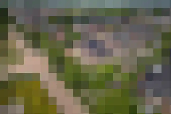 Bunzinghage 49 Berlicum thumbnail 44