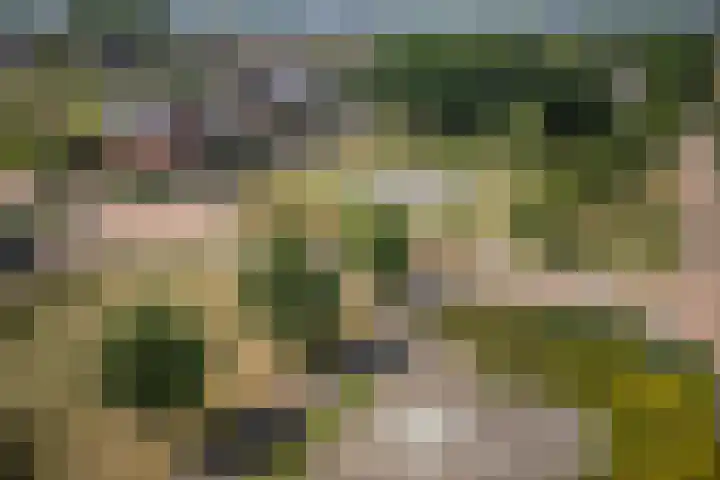 Bunzinghage 49 Berlicum thumbnail 45