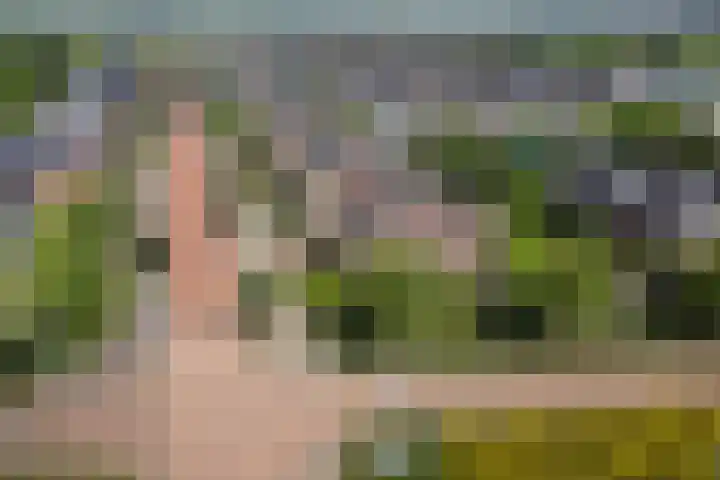 Bunzinghage 49 Berlicum thumbnail 46