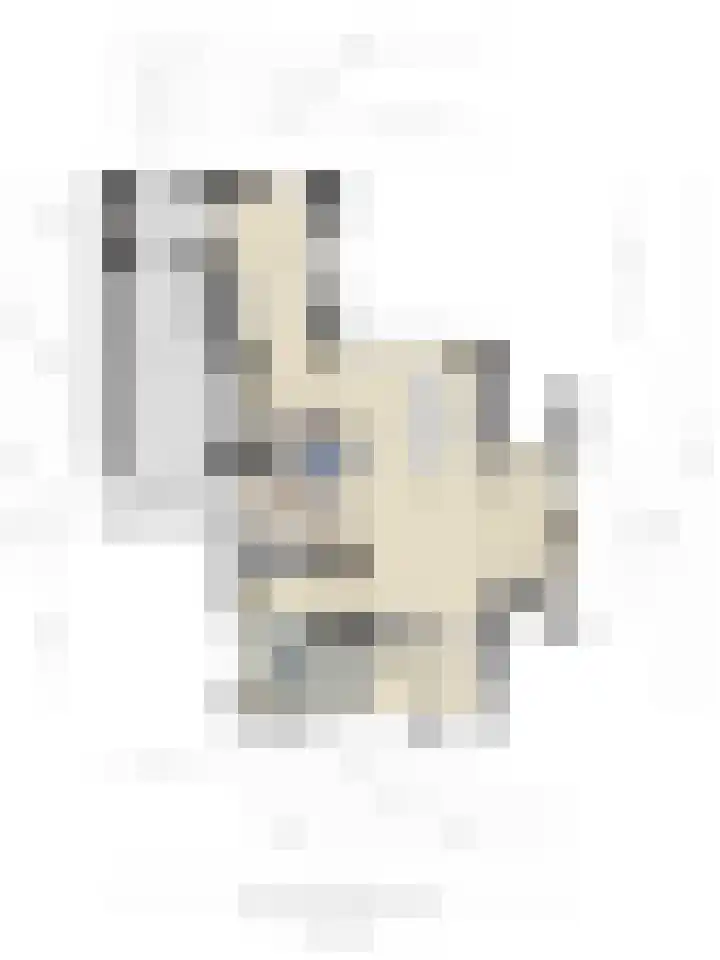 Bunzinghage 49 Berlicum thumbnail 48