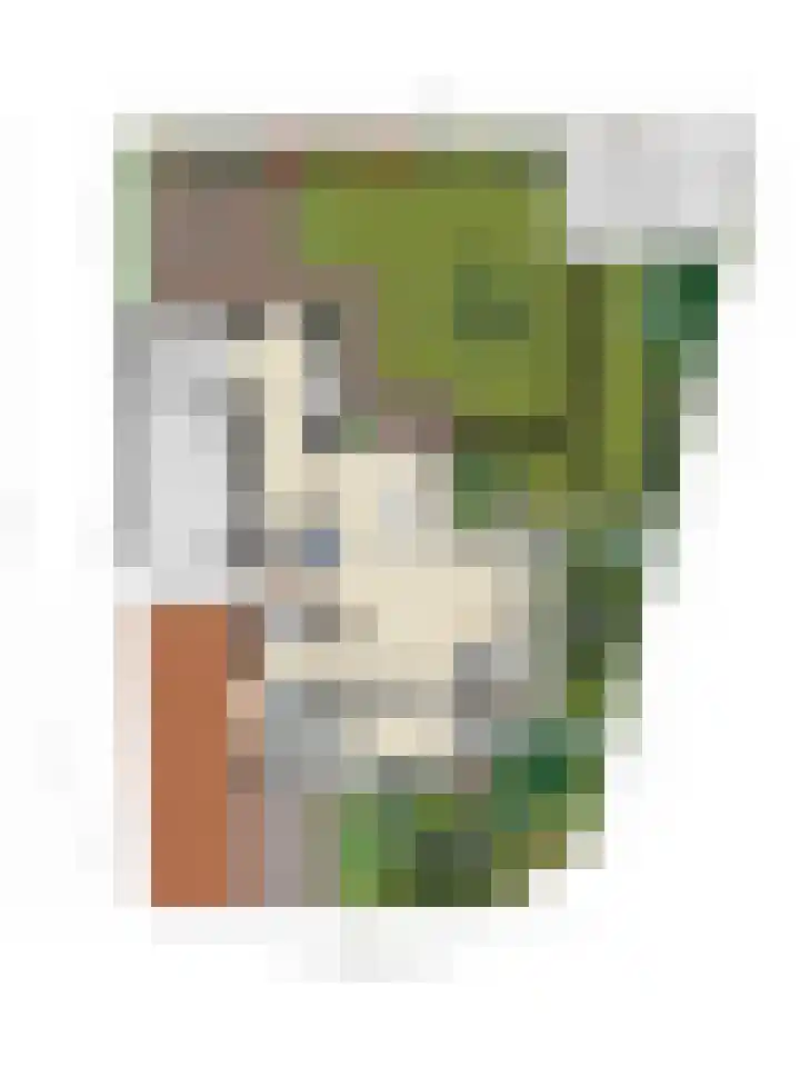 Bunzinghage 49 Berlicum thumbnail 52