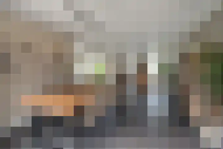 Bunzinghage 49 Berlicum thumbnail 9