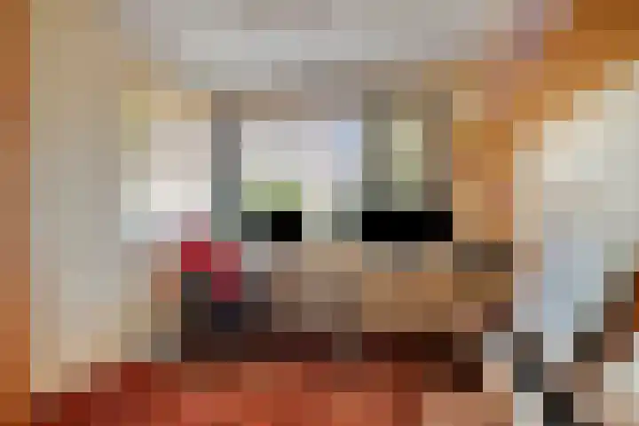 Bunzinghage 80 Berlicum thumbnail 12