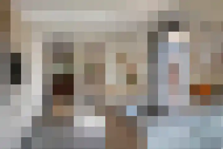 Bunzinghage 80 Berlicum thumbnail 15