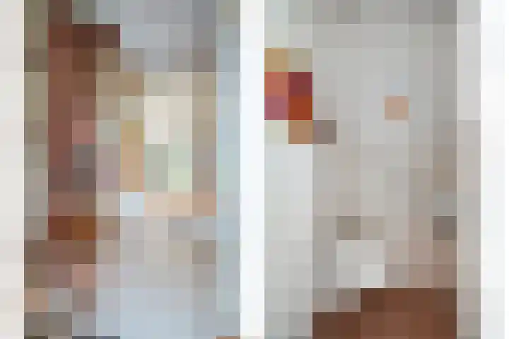 Bunzinghage 80 Berlicum thumbnail 16