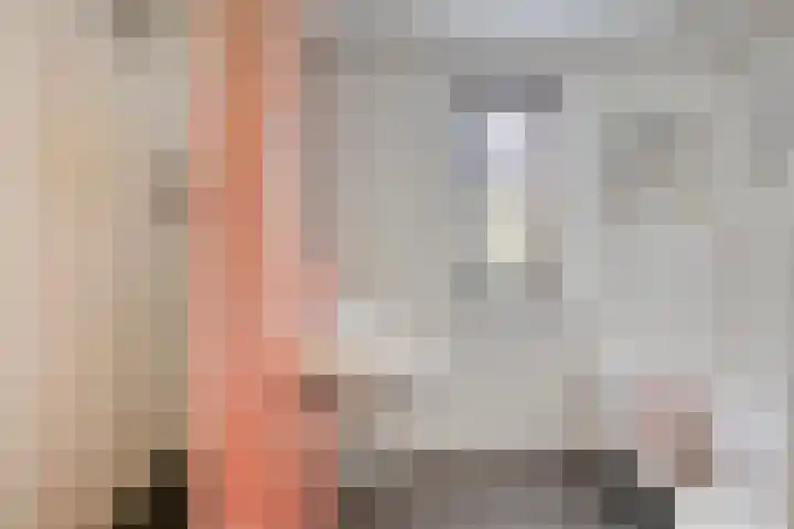 Bunzinghage 80 Berlicum thumbnail 18
