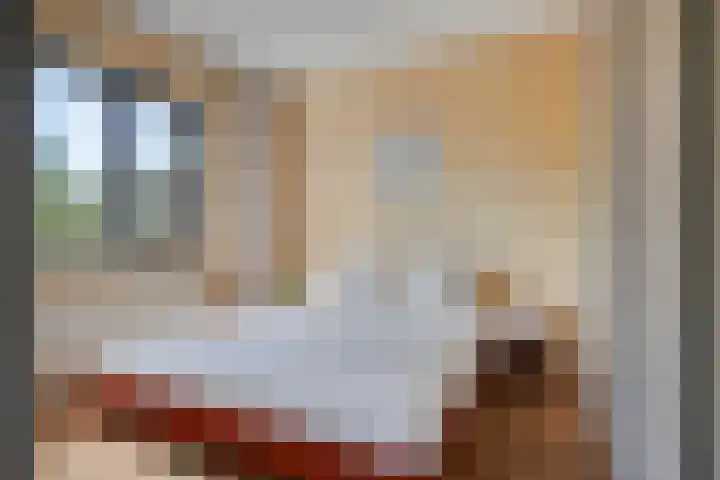 Bunzinghage 80 Berlicum thumbnail 21