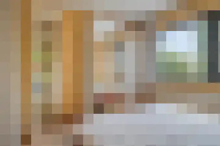 Bunzinghage 80 Berlicum thumbnail 22