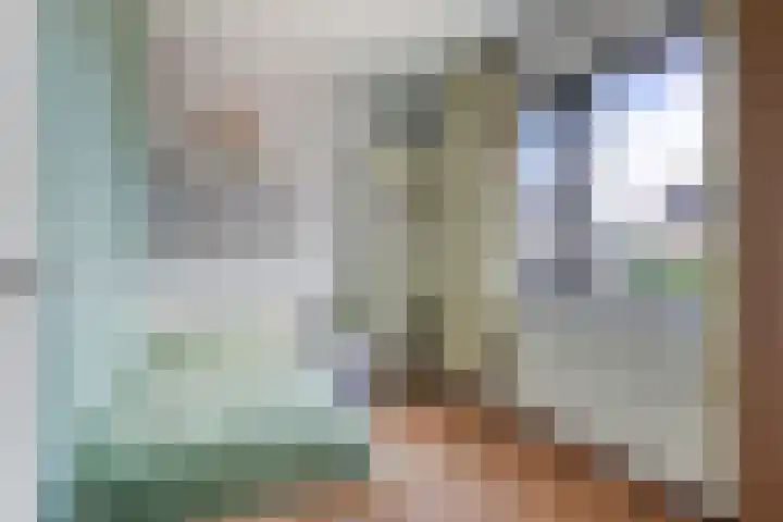 Bunzinghage 80 Berlicum thumbnail 25