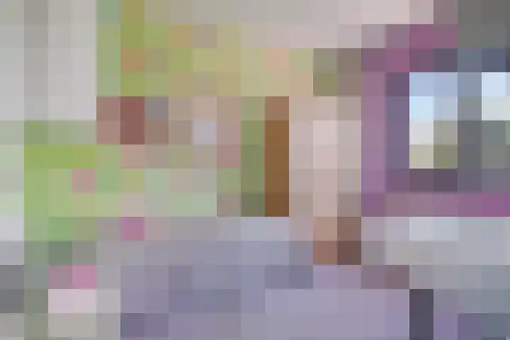 Bunzinghage 80 Berlicum thumbnail 26