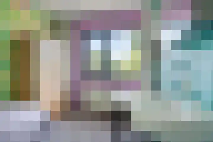 Bunzinghage 80 Berlicum thumbnail 27