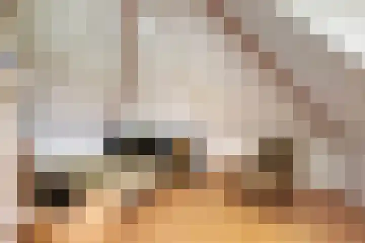Bunzinghage 80 Berlicum thumbnail 31