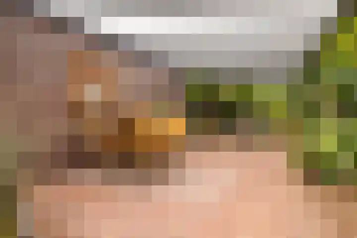 Bunzinghage 80 Berlicum thumbnail 33