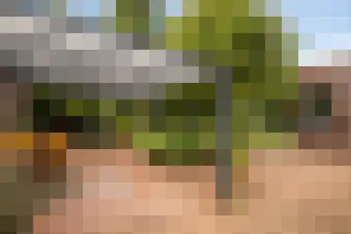 Bunzinghage 80 Berlicum thumbnail 34