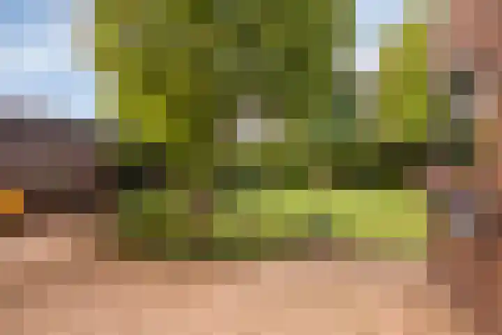 Bunzinghage 80 Berlicum thumbnail 35