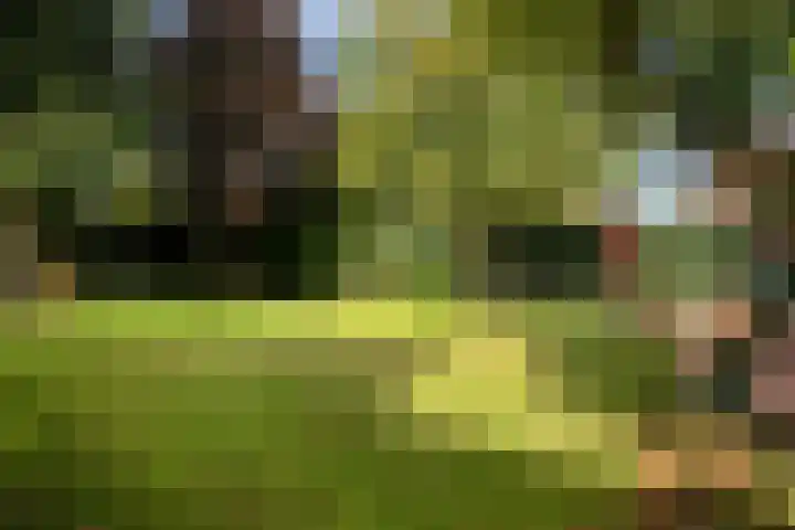 Bunzinghage 80 Berlicum thumbnail 36