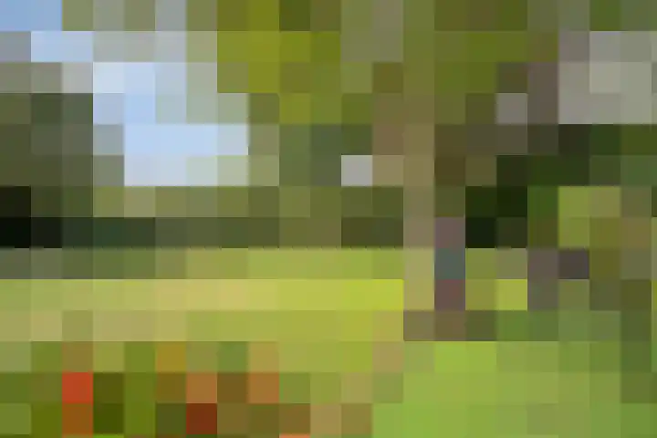 Bunzinghage 80 Berlicum thumbnail 37