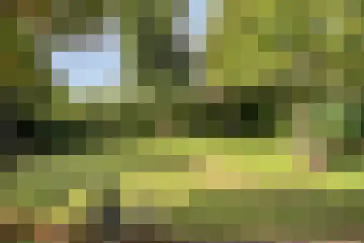 Bunzinghage 80 Berlicum thumbnail 38