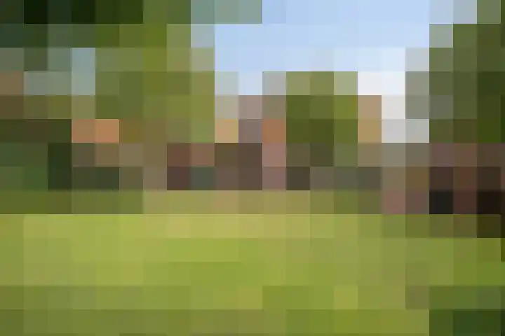 Bunzinghage 80 Berlicum thumbnail 39