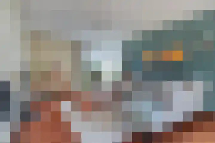 Bunzinghage 80 Berlicum thumbnail 4