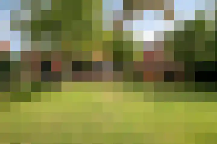 Bunzinghage 80 Berlicum thumbnail 40