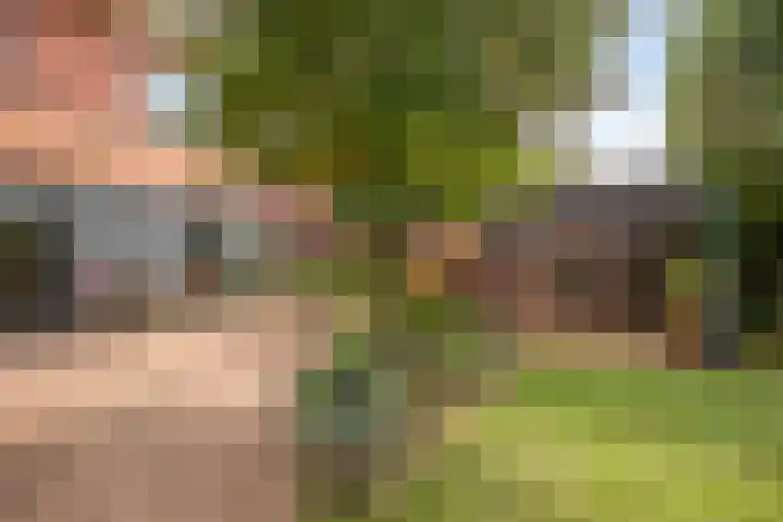Bunzinghage 80 Berlicum thumbnail 41