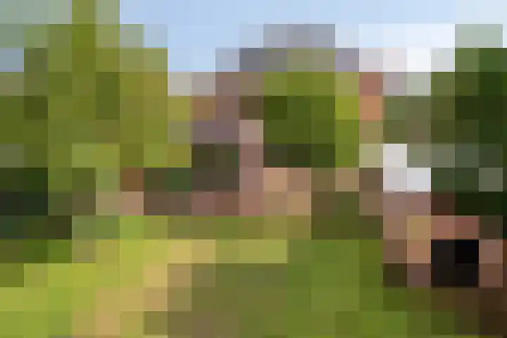 Bunzinghage 80 Berlicum thumbnail 42
