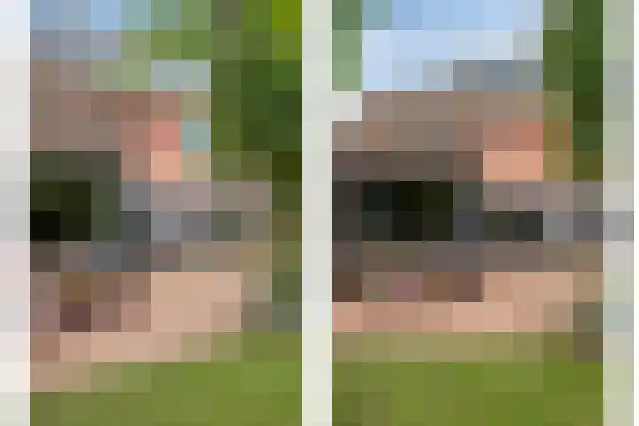 Bunzinghage 80 Berlicum thumbnail 43