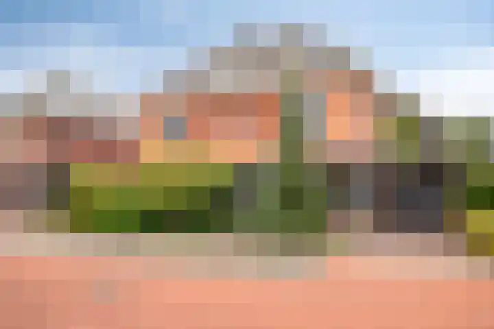 Bunzinghage 80 Berlicum thumbnail 44