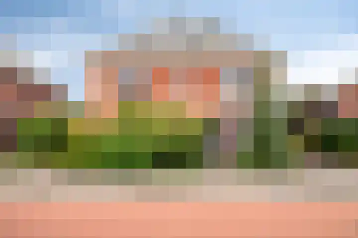 Bunzinghage 80 Berlicum thumbnail 45