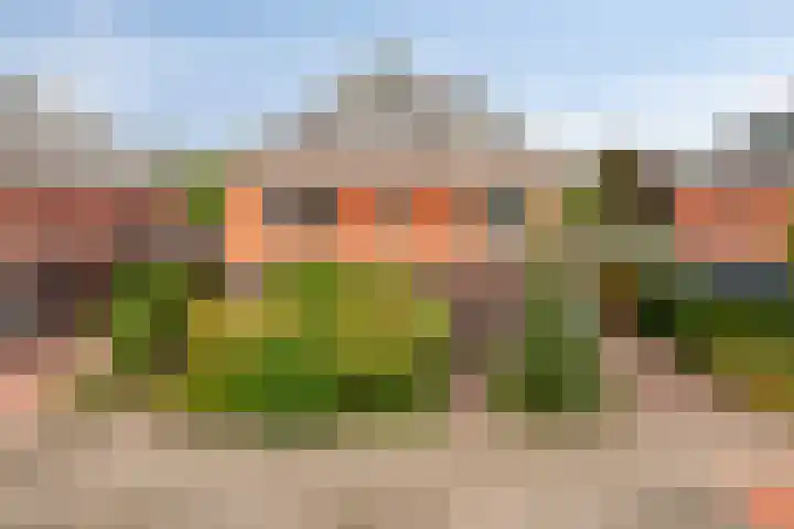 Bunzinghage 80 Berlicum thumbnail 47