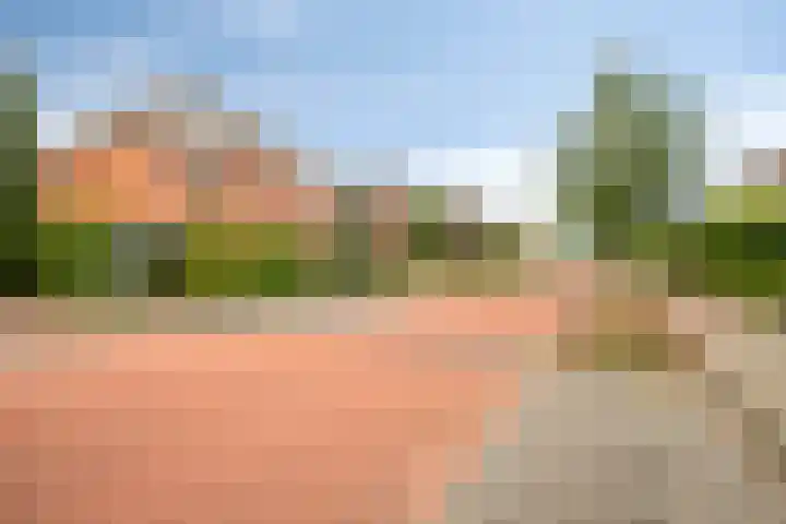 Bunzinghage 80 Berlicum thumbnail 48