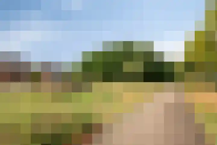 Bunzinghage 80 Berlicum thumbnail 49