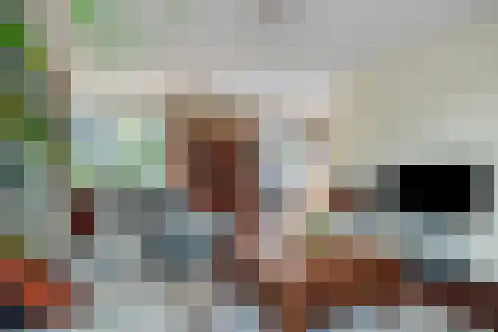 Bunzinghage 80 Berlicum thumbnail 5