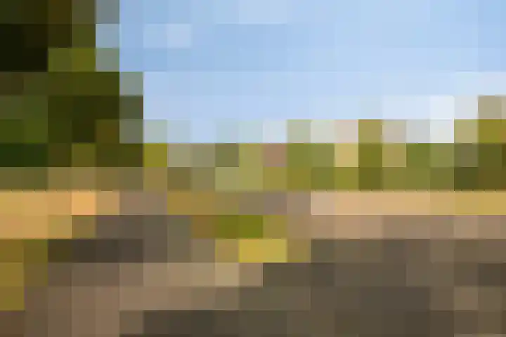 Bunzinghage 80 Berlicum thumbnail 51