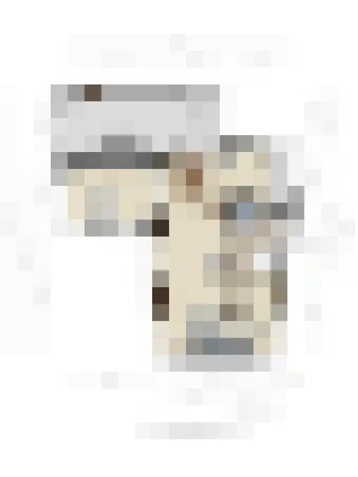 Bunzinghage 80 Berlicum thumbnail 52