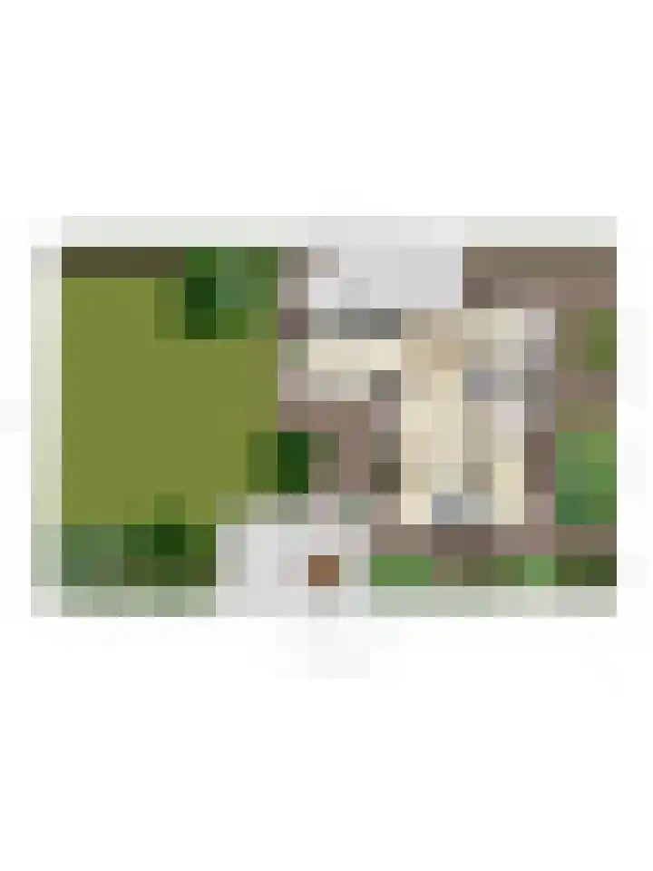 Bunzinghage 80 Berlicum thumbnail 53
