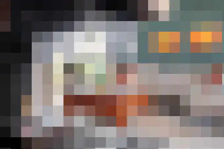 Bunzinghage 80 Berlicum thumbnail 6