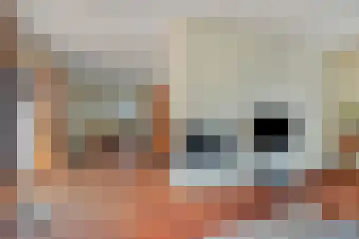 Bunzinghage 80 Berlicum thumbnail 7