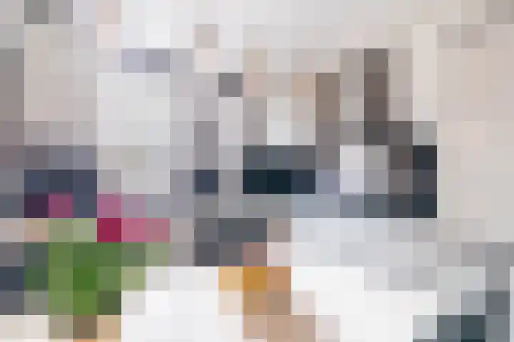 Bunzinghof 13 Delft thumbnail 16