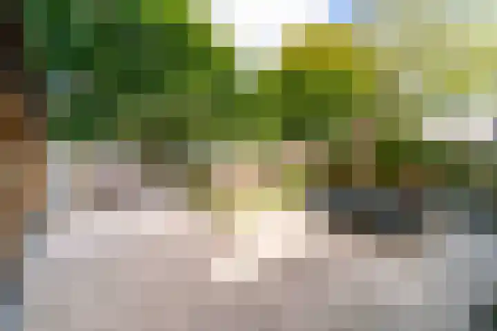 Bunzinghof 13 Delft thumbnail 21