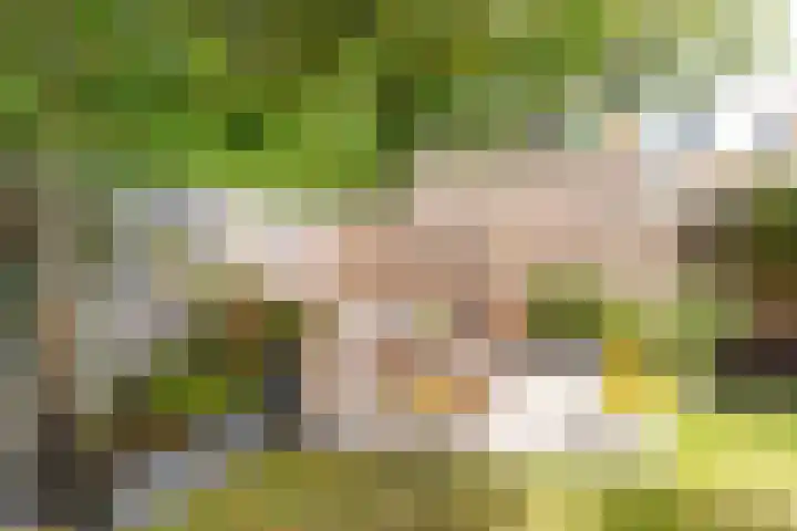 Bunzinghof 13 Delft thumbnail 22