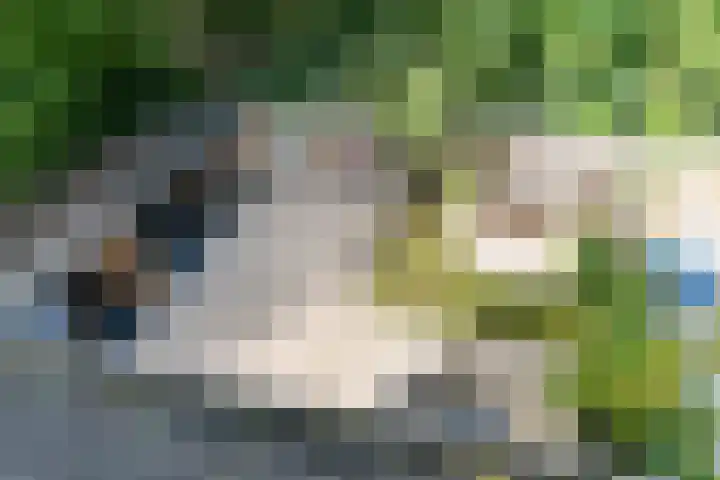 Bunzinghof 13 Delft thumbnail 44