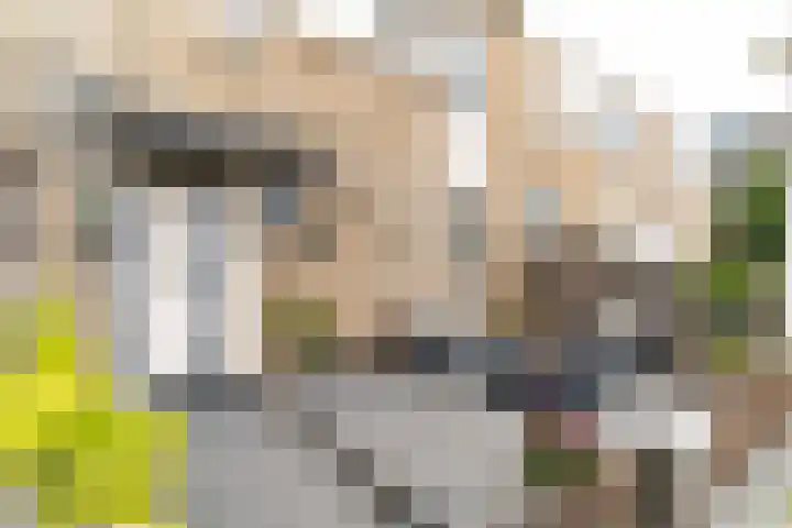Bunzinghof 13 Delft thumbnail 7