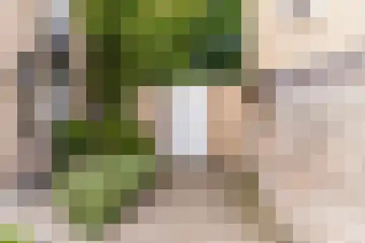 Bunzinghof 13 Delft thumbnail 8
