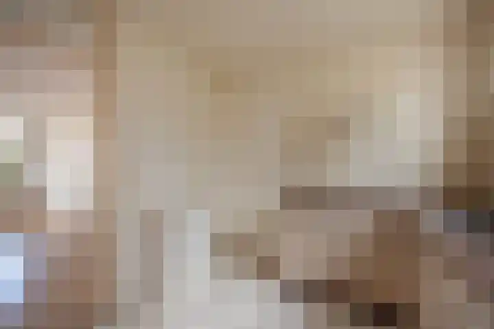 Bunzingweide 8 Zoetermeer thumbnail 13