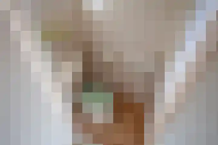 Bunzingweide 8 Zoetermeer thumbnail 14