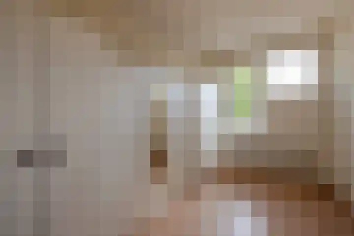 Bunzingweide 8 Zoetermeer thumbnail 18